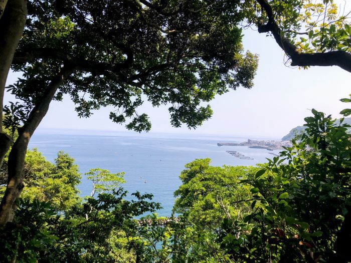 網代の小山臨海公園展望台から見える海の景色