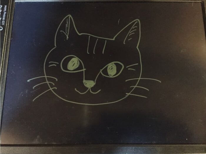 ブギーボードに書いた猫の絵
