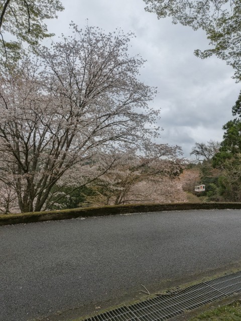 吉野山の七曲り坂